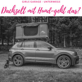 Dachzelt mit Hund – eine unmögliche Mission?
